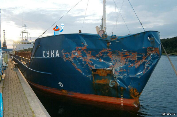 Жена *Небздящего*