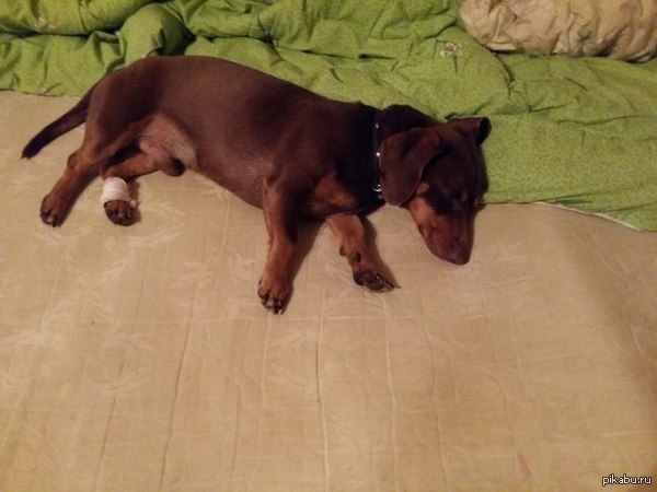  ! . , ,  . ,   ,     . 30.10.2015