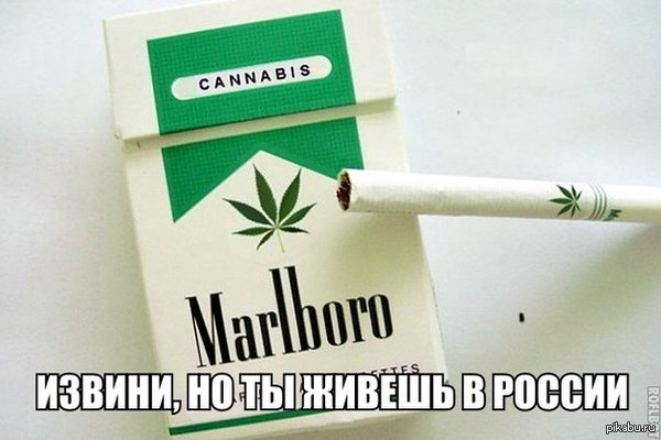     Philip Morris      Marlboro  .     $89.     ?