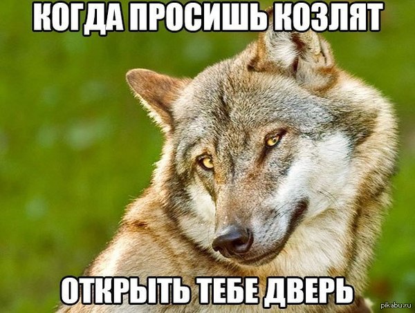 ��� �� ����� ���� ������ �������)