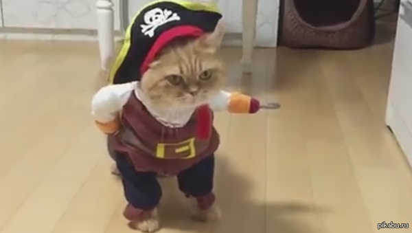 Нам важно ваше мнение!