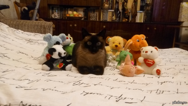 ����-�� ������� 17 ���!