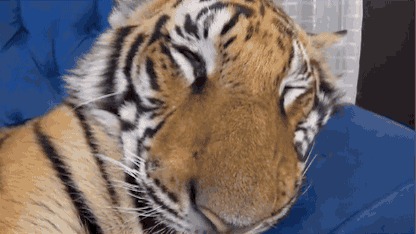 !? 