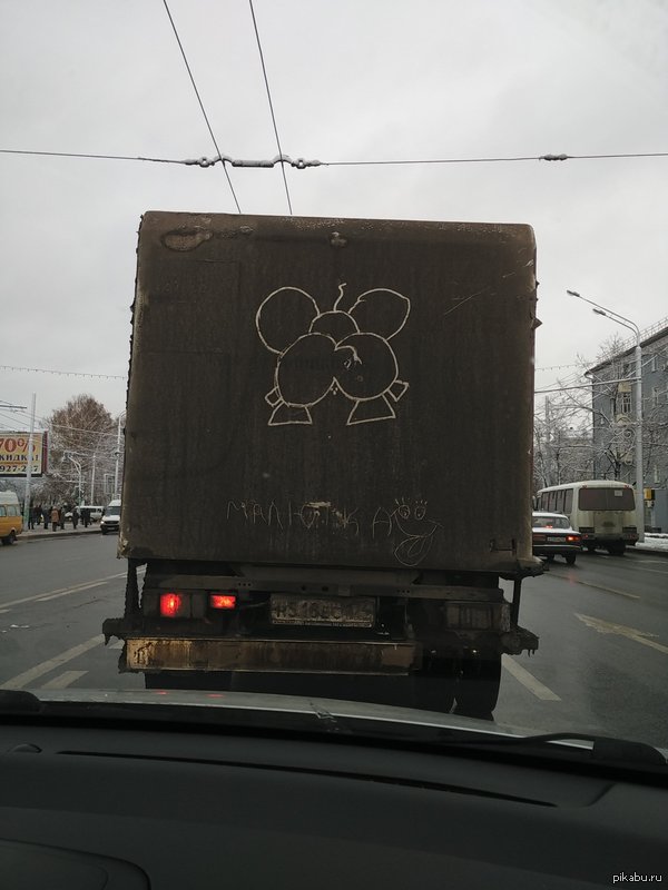 Слон-малютка