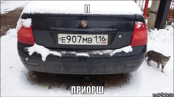 � ���� �� �����