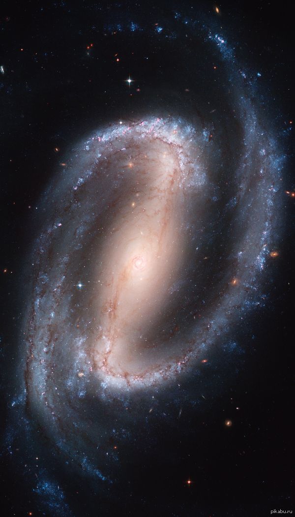      NGC 1300 