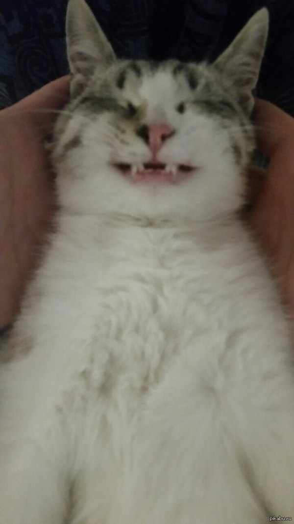 ����������� ����, ����������!)