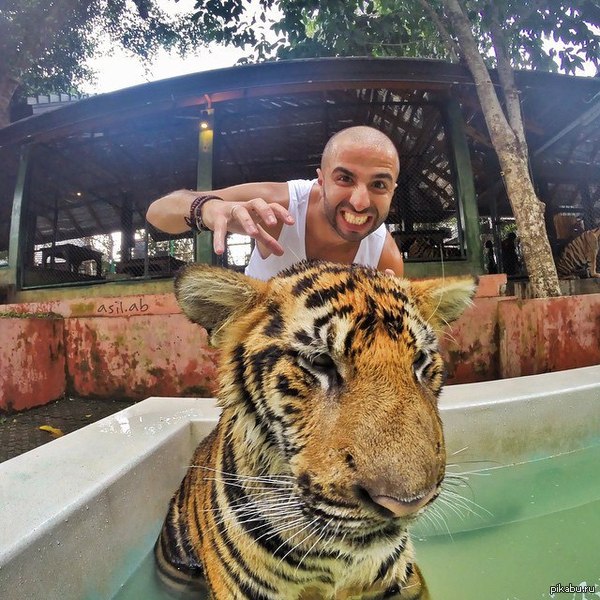 ������� �� �� ����� ��� ������