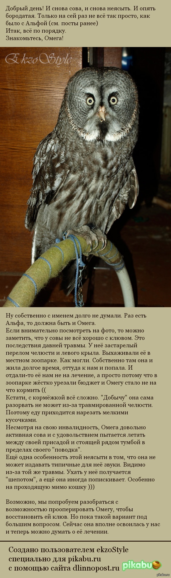       .   .      )))))))))