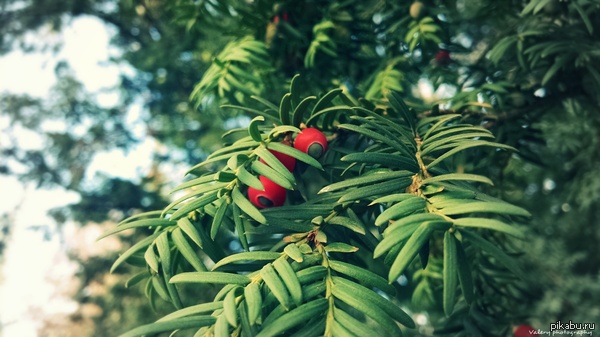 Что это такое?