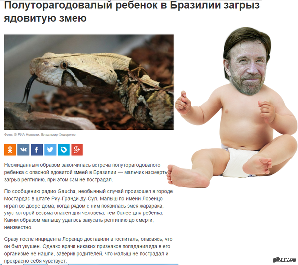 �������, � ����, ��� ��� �������...