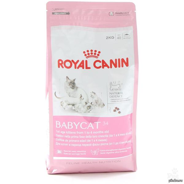  , ! :    Royal Canin Babycat&amp;Mother,   .     2,5 Babycat&amp;Mother    1 RoyalCanin Kitten?