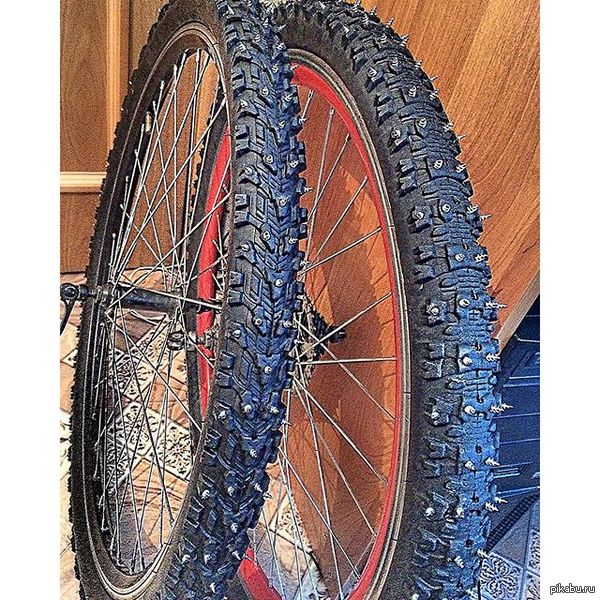 Шиповка | Пикабу