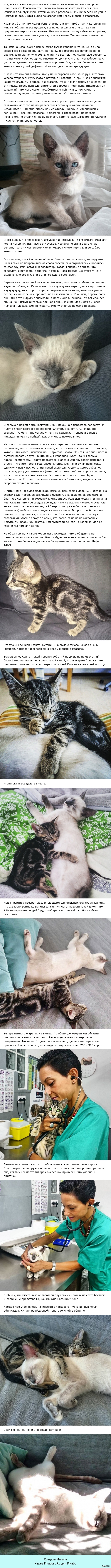 ��� � ����� ����������� ���������� ��������� ��� ��� � �����������