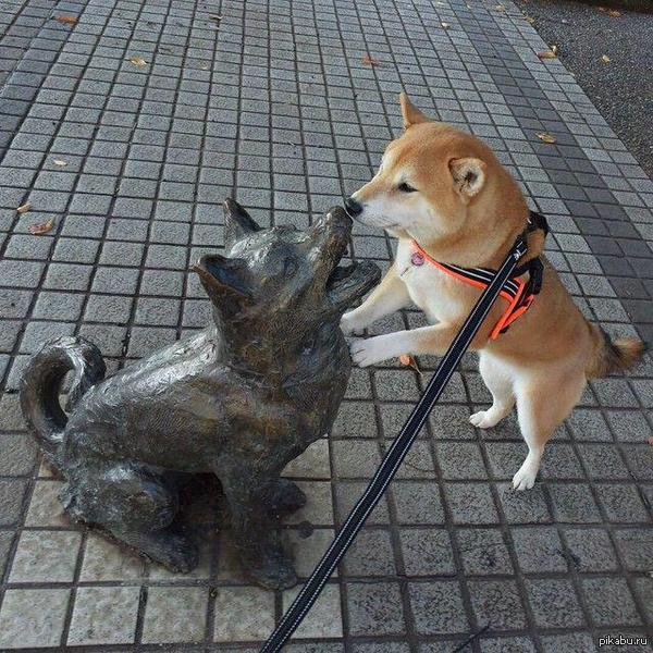 Are you looking for friends? - Dog, Meeting, Sculpture, The statue, Photo