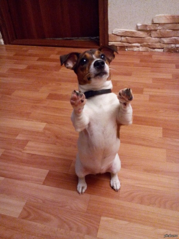 ���� �����!