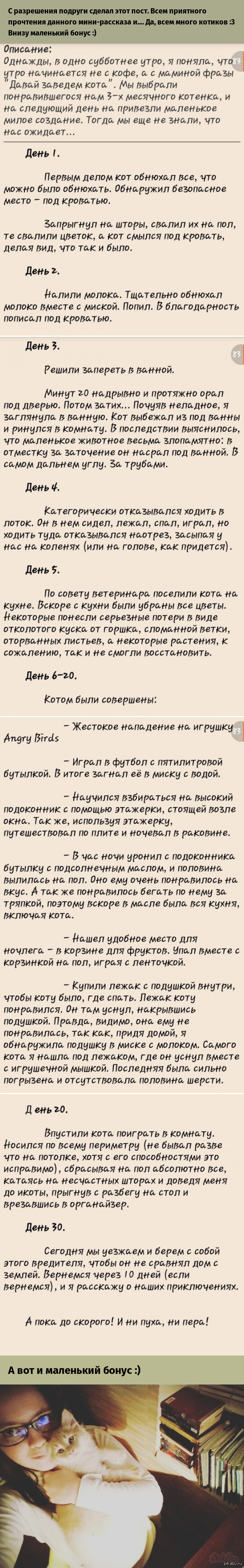 Домашние коты: истории из жизни, советы, новости, юмор и картинки — Лучшее,  страница 84 | Пикабу