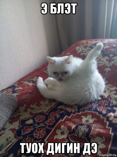 � �����...