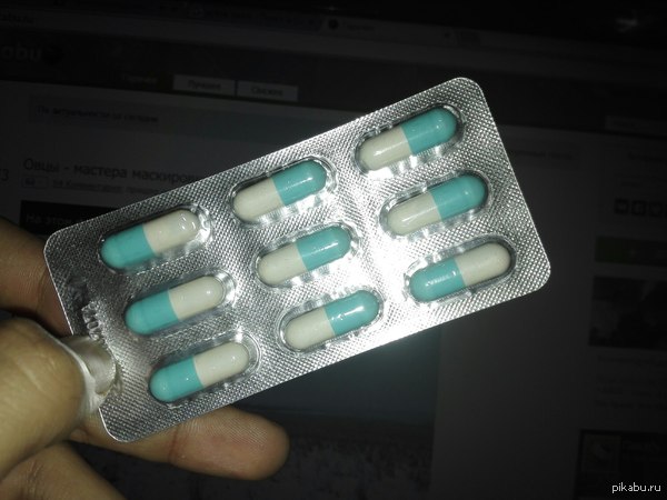 Долго не мог понять, почему так слезятся глаза глядя на них | Пикабу