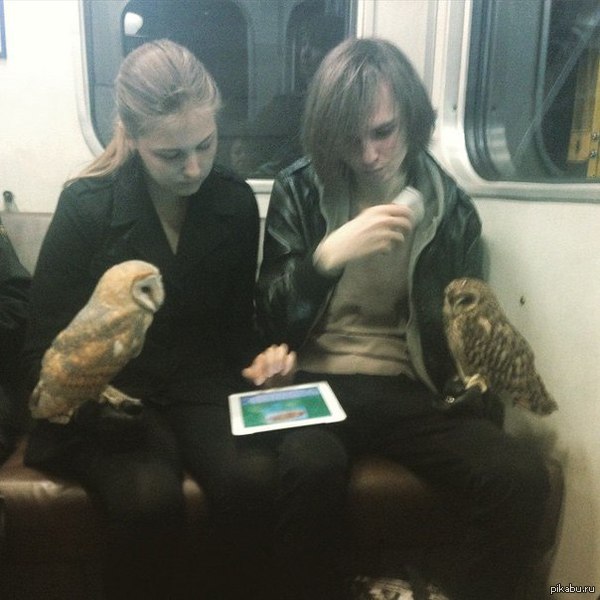 ��������� ��������� ��������