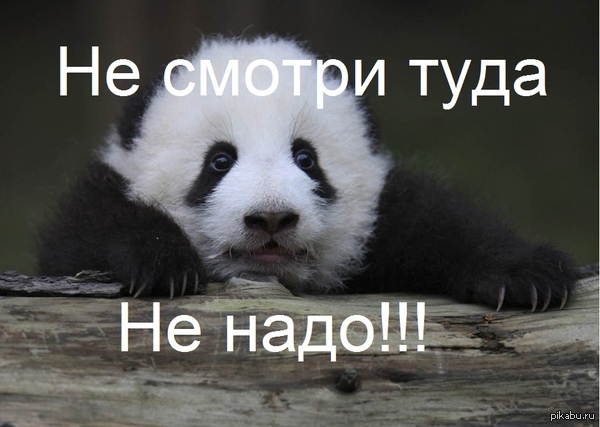 Когда рассказал другу про Пикабу и он начал смотреть твои посты
