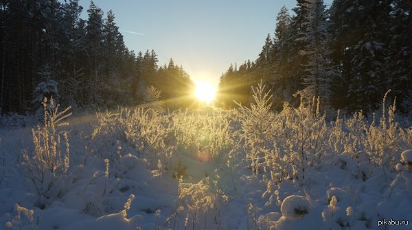 Снова природа родного края