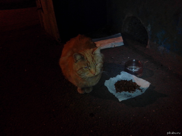 Пикабушники г. Благовещенска, нужна помощь