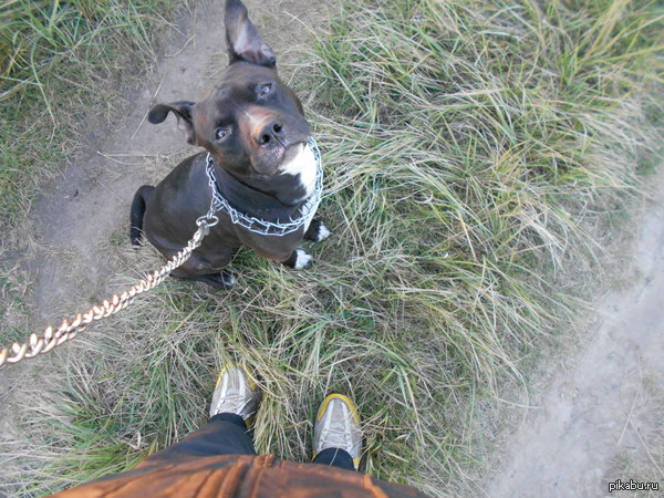 �������, �� ������ ����� �� ������ �������