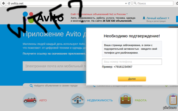        .  ,   Avito.ru    .