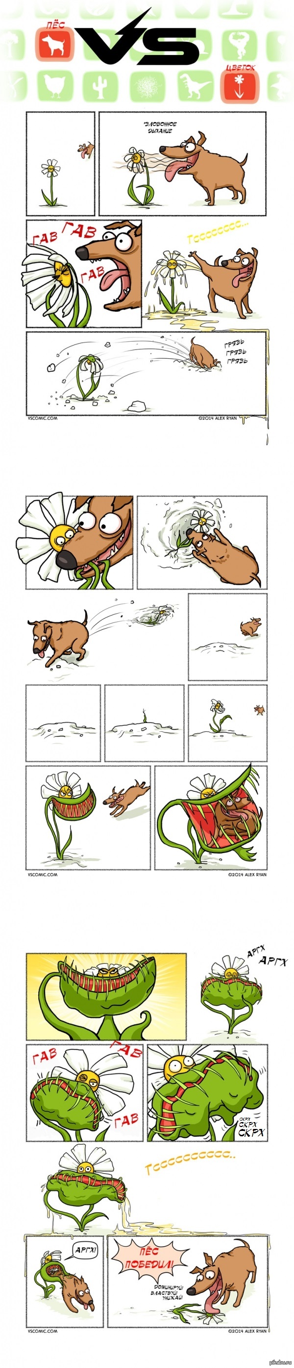 ϸ� vs. ������