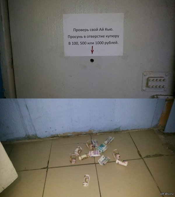 ���� �� IQ