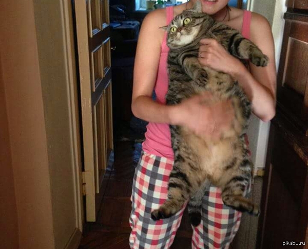 ���������� ������� ����...