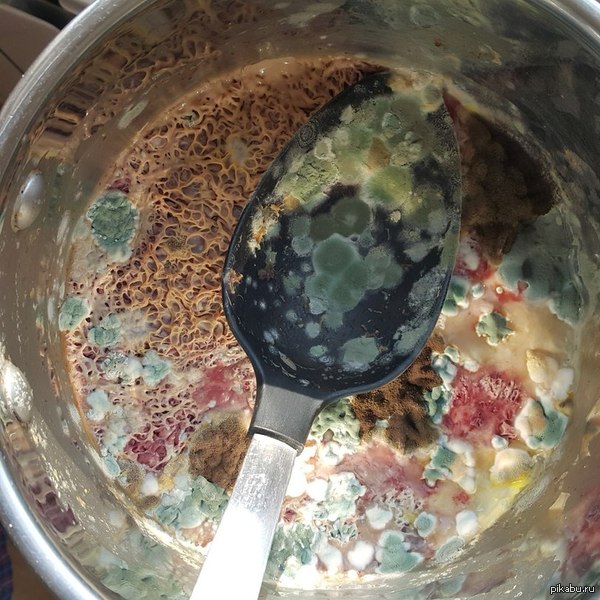 ����� �������� ����� �������� ��������