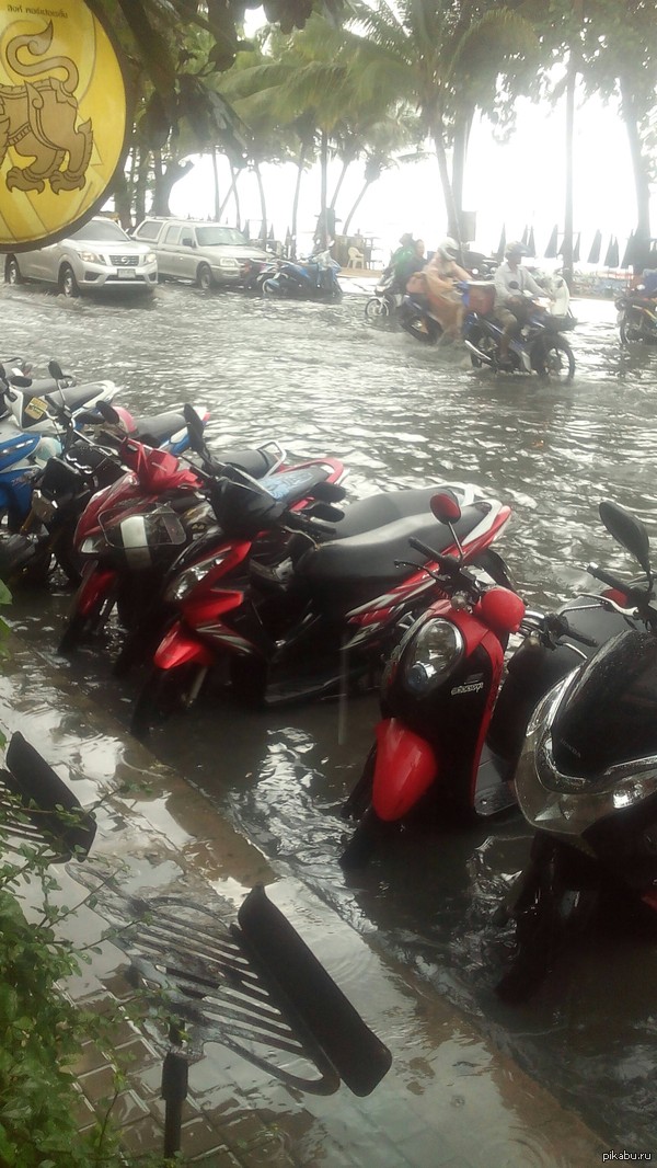 � ��� ��� ������ ������.