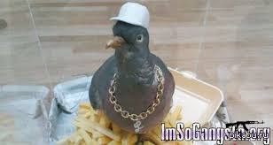 If you had, one shot, or one opportunity..