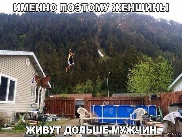 Образец логики