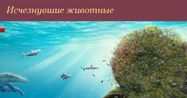 Исчезнувшие животные | Пикабу
