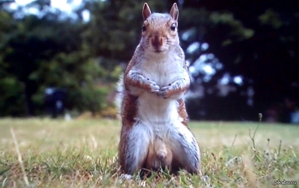 ��� ��� �� ������� �� �����,