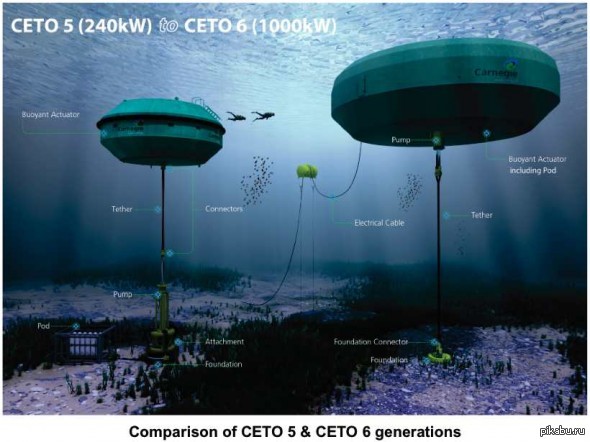       Carnegie Wave Energy               