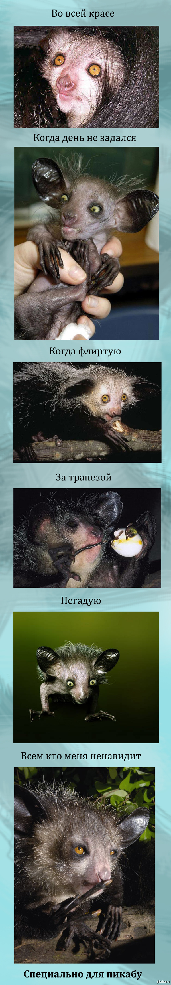      -    13