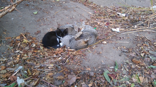 �������� ������