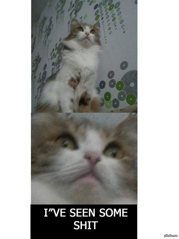 "� ����� ��������� ������"