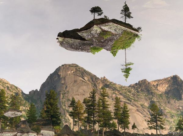 ���� �����������