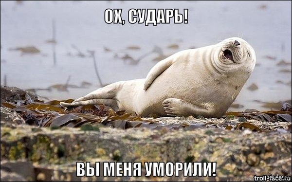 Когда школьник пишет, что вычислит тебя по ip.