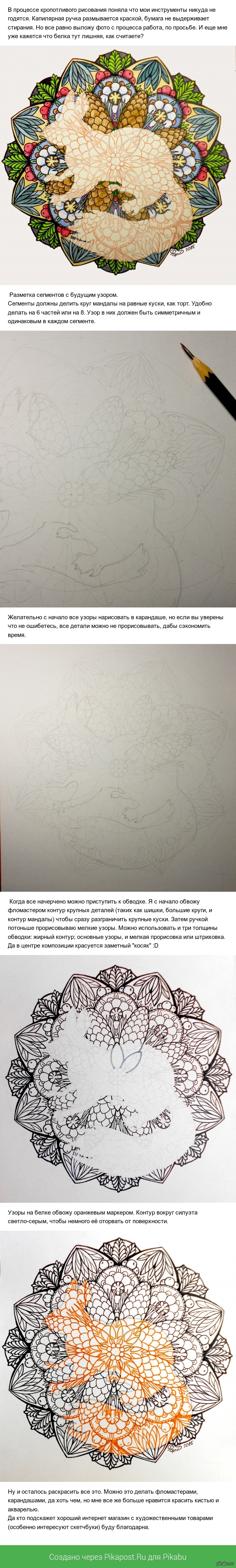 Белочка и шишки