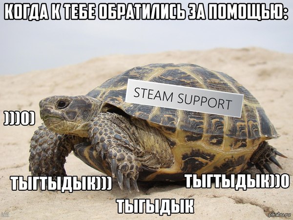    Steam 