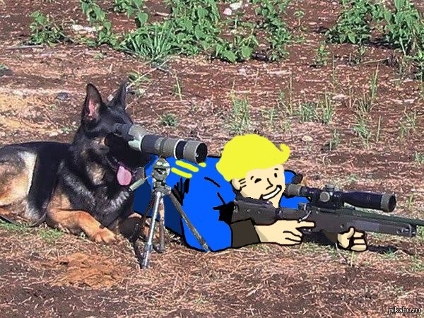 Немного Fallout 4