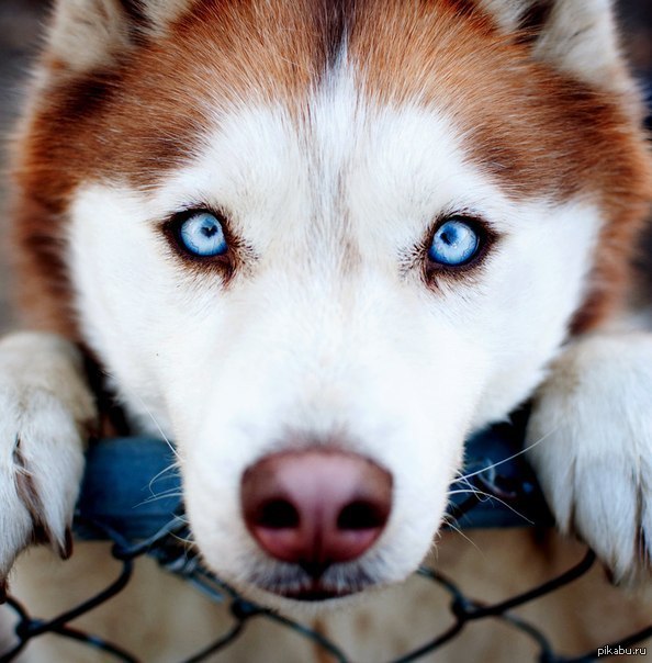 Какие глаза