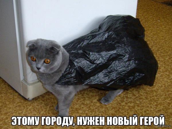 Этому городу нужен новый герой смешные картинки, домой картинки прикольные