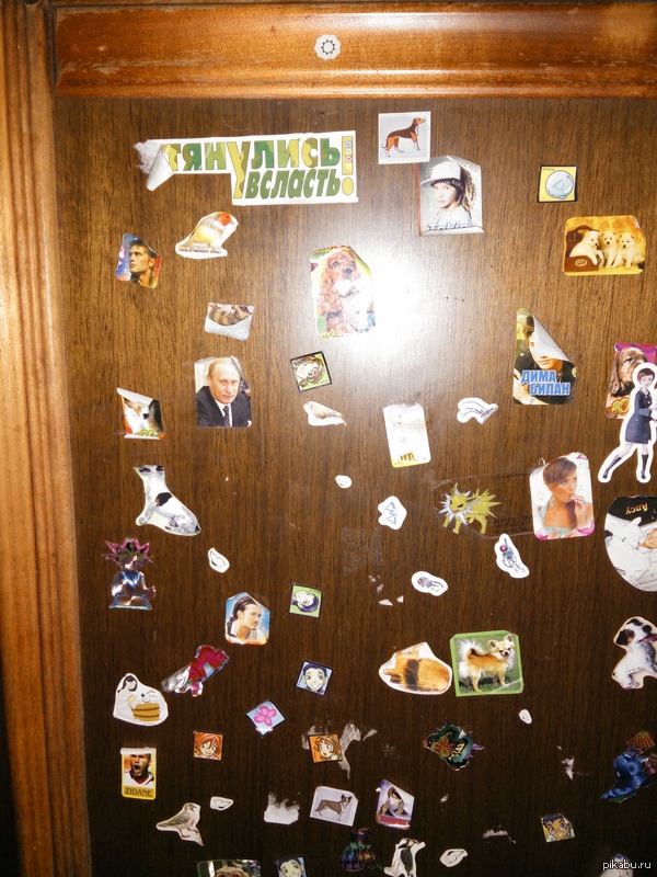 А кто твой кумир?